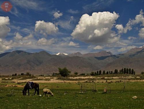 Idylka - Issyk-kul