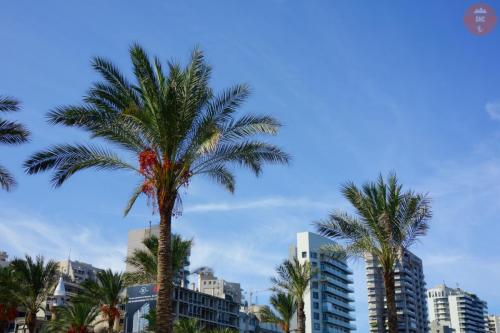 Promenáda - Beirut