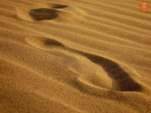 Stopy v poušti - Maranjab